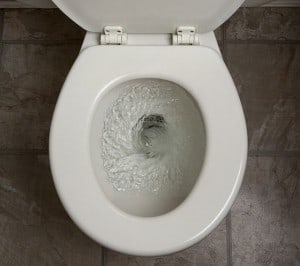 toilet_flushing_5-300x266
